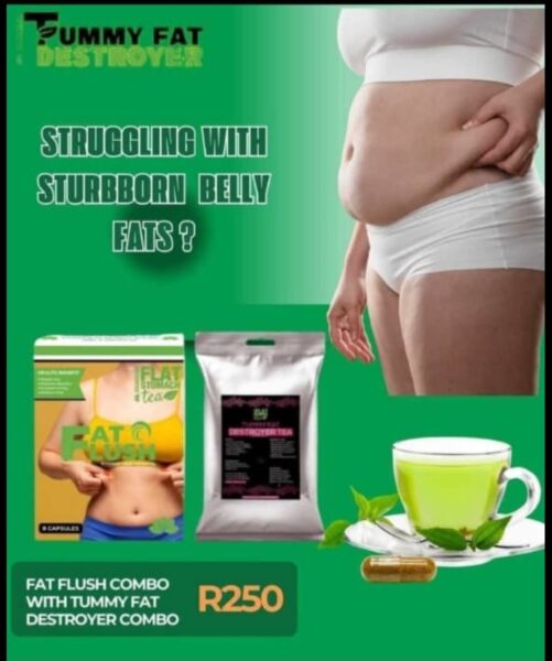Sly (079) 987-2021